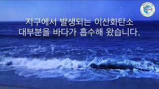 바다의 사막화 - 해양산성화