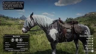 Миссурийский Фокстроттер  —  Missouri Fox Trotter in rdr2