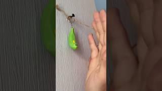 Скрытые камеры в отелях