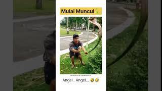 TUTORIAL MENUNDUKKAN KING KOBRA AGAR TIDAK MENCEDERAI PAWANG