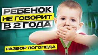 Ребенок НЕ ГОВОРИТ в 2 года. Плохо понимает речь. На что обратить внимание?