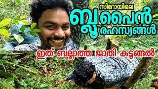 EP6 ബ്ലൂ പൈൻ രഹസ്യങ്ങൾ | ഇത് ബല്ലാത്താ ജാതി കുടുങ്ങൽ Blue Pine Forest Ziro Arunachal Pradesh