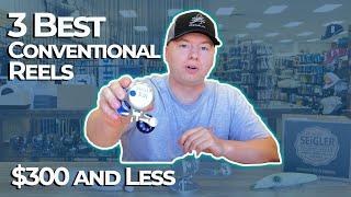 The BEST 3 Saltwater Conventional Reels $300 and Under