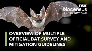 Bats: How to make the most of so many new guidelines without drowning