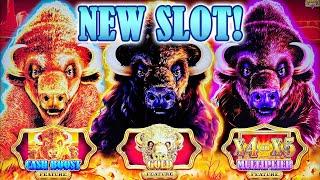 NEW Buffalo Gold Cash Collection Slot and Fortune Harmony Spins Slots! My First Attempts!