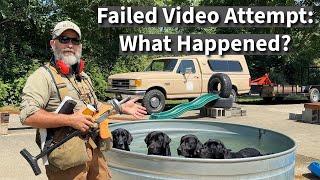 Anxious Labrador Retriever Failed Video Demonstration | What Happened?