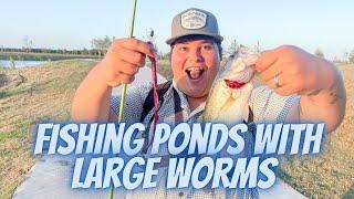 fishing in ponds with LARGE WORMS!!!! TEXAS FISHING