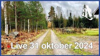  Live med Anders på landet 31 oktober 2024