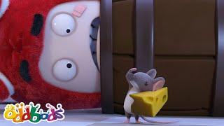 Perfect Night's Squeak | Oddbods Full Episode | Funny Cartoons for Kids