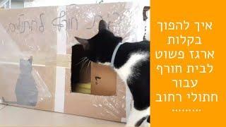 איך להכין בקלות בית חורף לחתולי רחוב