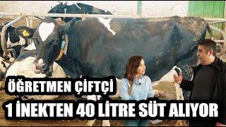 Öğretmen Çiftçi Süt Çiftliği Kurdu 1 İnekten 40 Litre Süt Alıyor! / Marka Çiftlikler