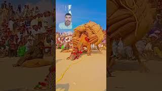 gujjar the great 