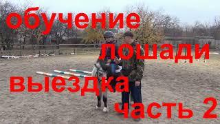 Обучение лошади. Выездка.  Пони. Часть 2.Horse training.