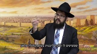 הכרת הטוב: חוק מס' 1 - הרב שניאור אשכנזי