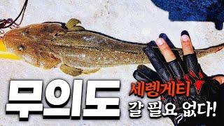 무의도 루어낚시, 무의도 세렝게티 ㄴㄴ 주차장 바로 앞 방파제가 포인트네 - 6월1일