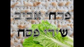 מחרוזת שירי פסח I פרחי אביב I ניצוח: גלעד פוטולסקי *  pesach songs aviv boys choir