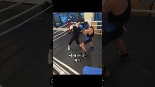 프로복서 vs 삼송 카넬로