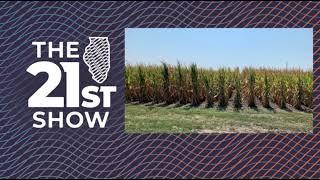 Illinois farmers are bracing for Trump’s tariffs and the response from foreign buyers