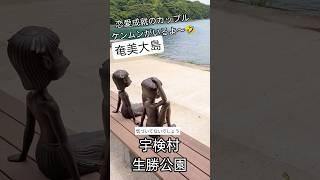 奄美大島　気づいてないでしょ#恋愛成就#ごまぷる