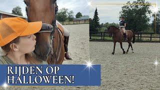 Eindelijk weer trainen met Halloween! | PaardenpraatTV