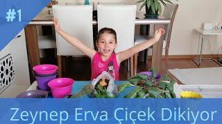 Zeynep Erva Çiçek Dikiyor