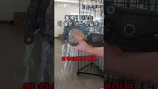 200만 년 된 물은 무슨 맛일까? 