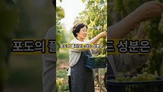 그냥 먹지 마세요   포도  먹으면 몸에 생기는 놀라운 변화 3가지 #건강 #유튜버 #영양식