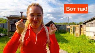 Ничем не помочь /. Одна с Детьми /. Это Лето Как Осень/ Цыплятки, готовим, закупка продуктов