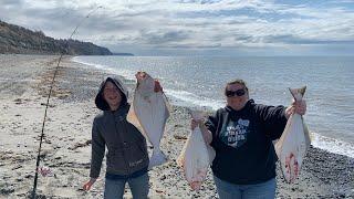 Can We Catch Limits Of Halibut From Shore? Surf Fishing Alaska