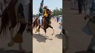 horse rider #shorts #viral #trending #youtubeshorts #ukvlog