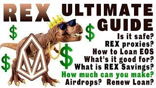  REX Ultimate Guide: How to Loan. Is REX Risky? How Much Profit? REX Proxies. What’s REX Savings?