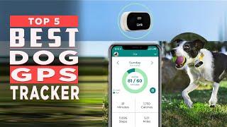 Best Dog GPS Tracker 2024