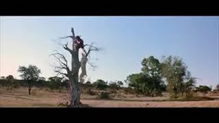AJOYIB ISH kino film video