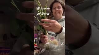 Bunny Salads - harvesting roses!