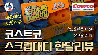 코스트코 스크럽대디 수세미 & 도루코가위 써봤어요! 내돈내산 한달사용리뷰/ 코스트코 주방용품 추천템