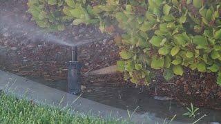 Spring Watering and Water Waste