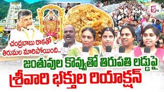 Tirumala Laddu : Srivari Devotees Reaction On Tirumala Laddu Controversy | Laddu Latest Updates