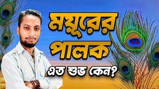 একাদশীর দিন কৃষ্ণের পাশে রাখুন ময়ূরের পালক, বলছেন ডঃ কৌশিক আচার্য্য  | Dr. Koushik Acharya |