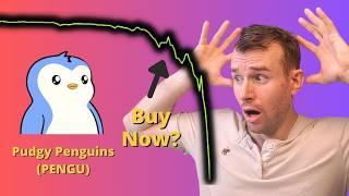 Buy The Pudgy Penguins Crash?  PENGU Crypto Token Analysis