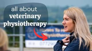 Things you need to know about veterinary physiotherapy!