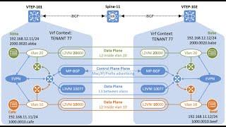 EVPN Deep Dive - All EVPN Route Types explained by Orhan Ergun and Toni Pasanen