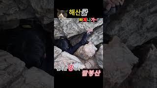 해산굴 빠져나가~