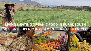 Living & Eating organic food in rural South Africa | Property investment | Luxury Rural lifestyle