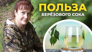 Польза БЕРЁЗОВОГО СОКА. Лечебные свойства сока берёзы