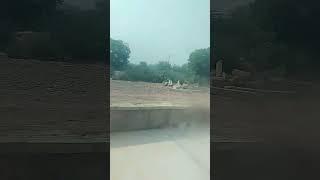 plane crashing video Ahmedabad