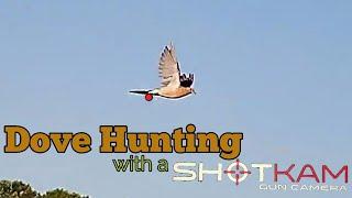 Dove Hunting with a ShotKam