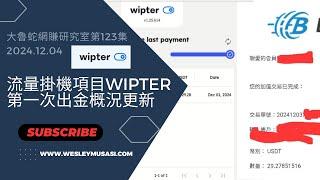 【Wipter / 流量掛機賺錢】第一次出金概況更新，收到USDT付款=29.28！ | 大魯蛇網賺研究室第123集