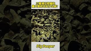 面积最大、器物最多的三星堆祭祀坑长这样！？#三星堆 #考古 #纪录片