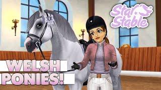 Star Stable - Buying the Updated Welsh Pony! 