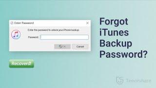 How To Recover iTunes Backup Password If You Forgot 2022